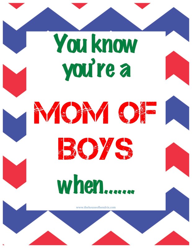 You know you are a mom of boys&nbsp;when…